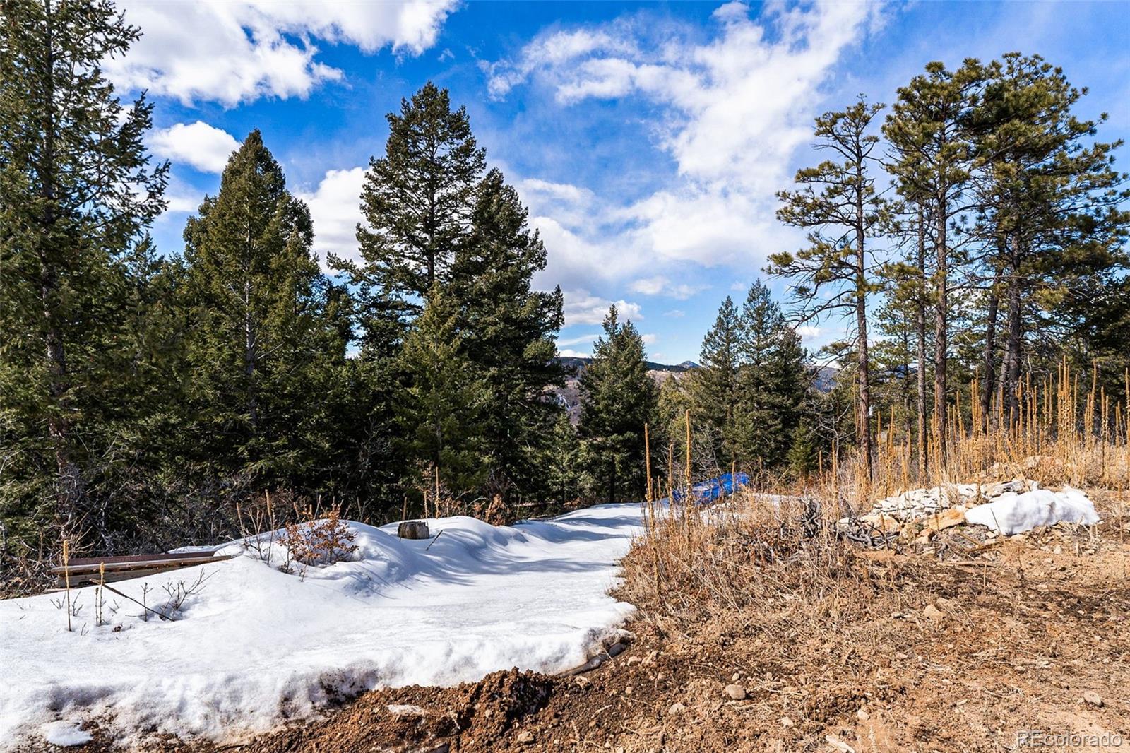 15111 Elk Mountain Trail