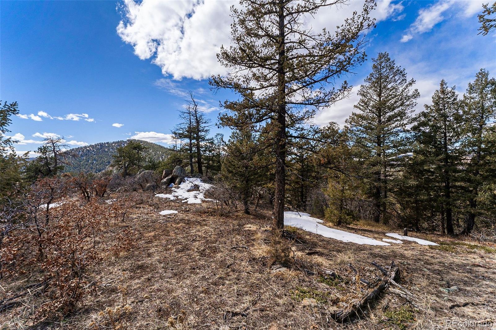 15111 Elk Mountain Trail
