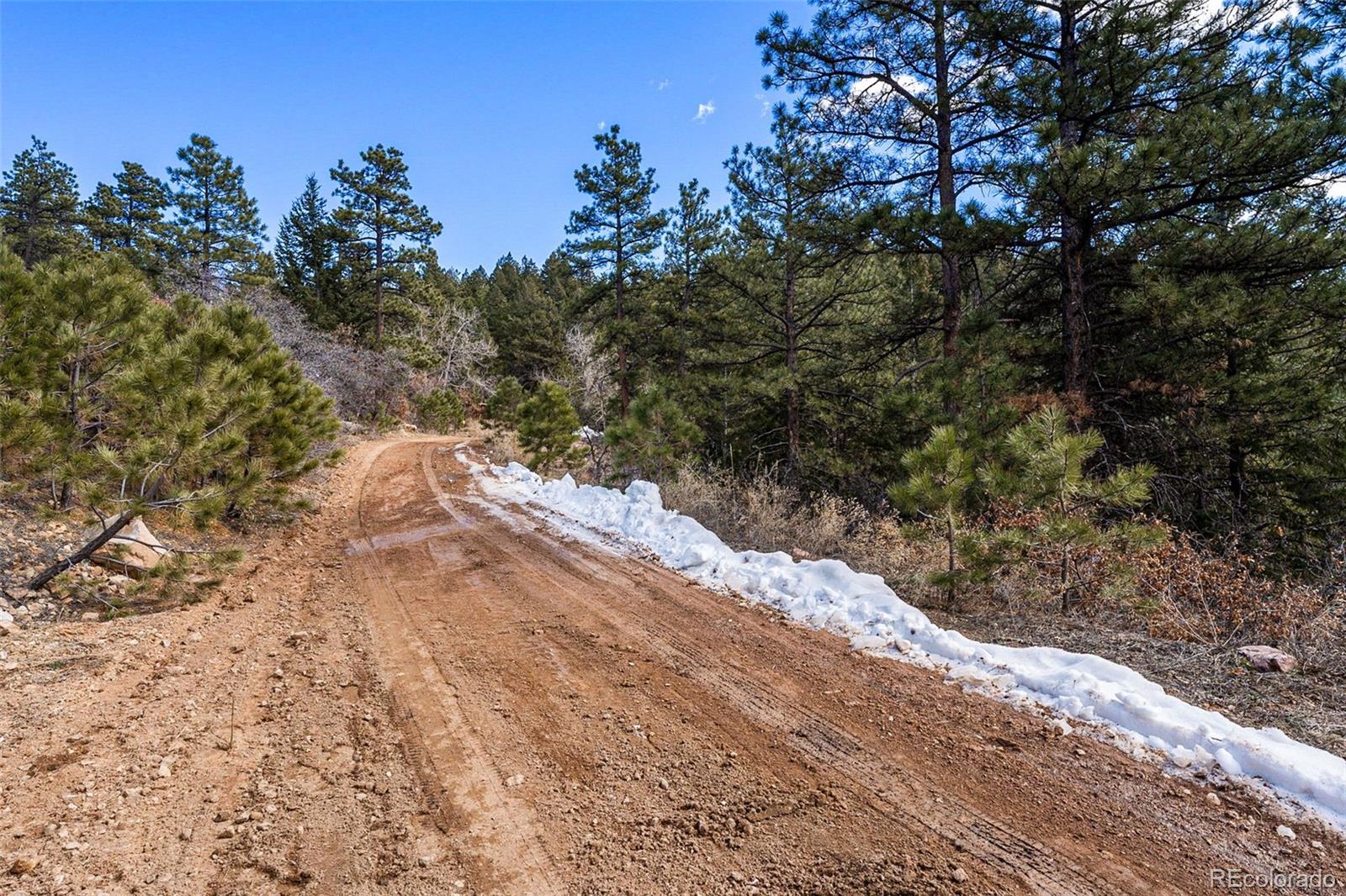 15111 Elk Mountain Trail