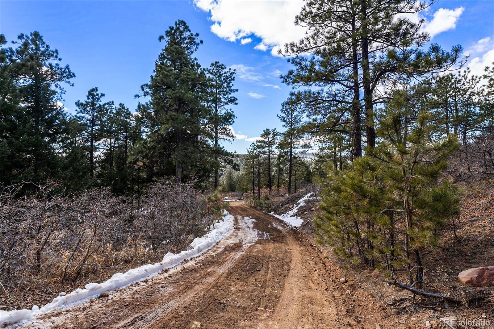 15111 Elk Mountain Trail