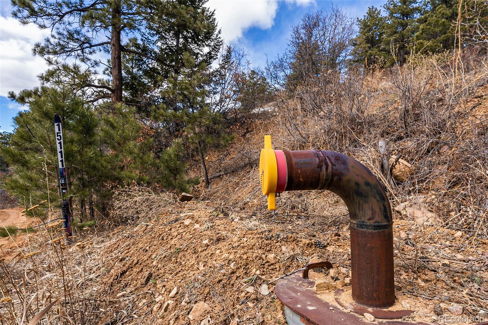 15111 Elk Mountain Trail