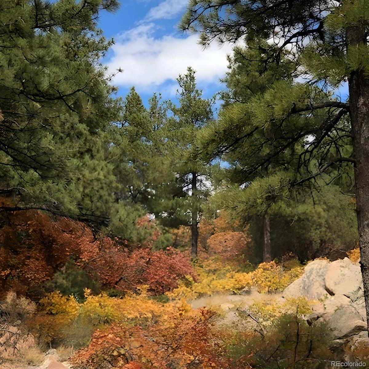 15111 Elk Mountain Trail