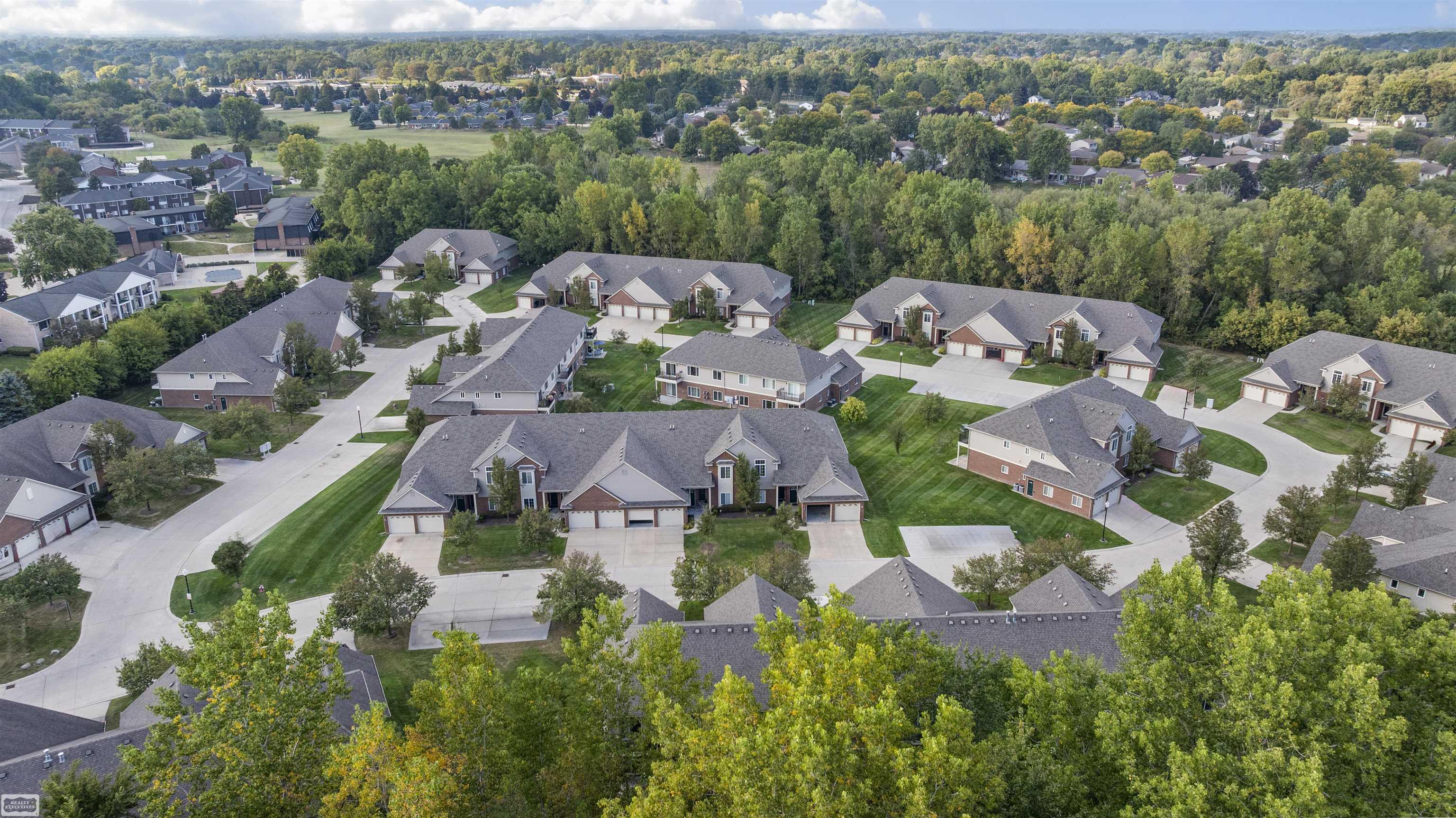 14226 Shadywood Drive