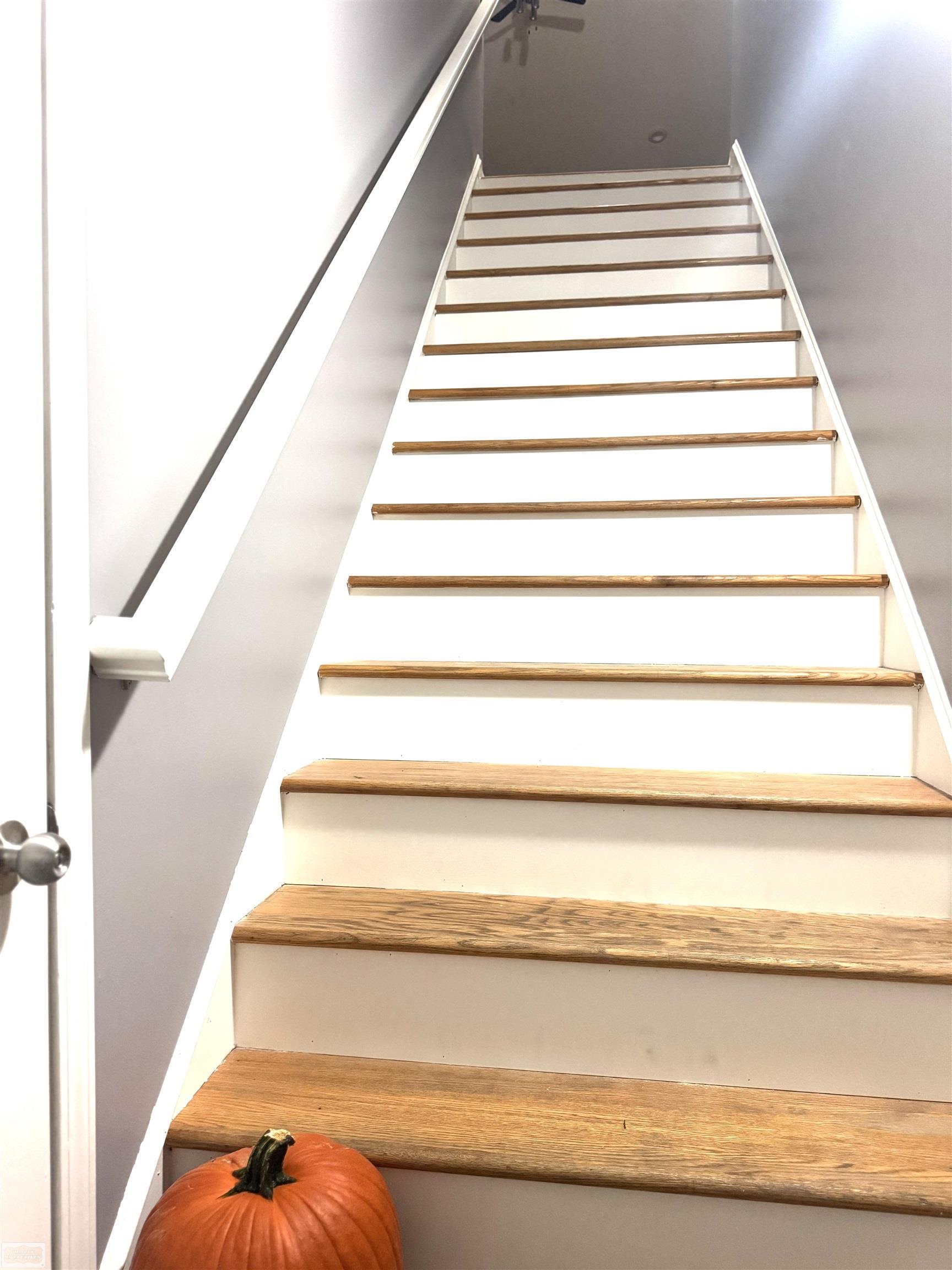 14226 Shadywood Drive