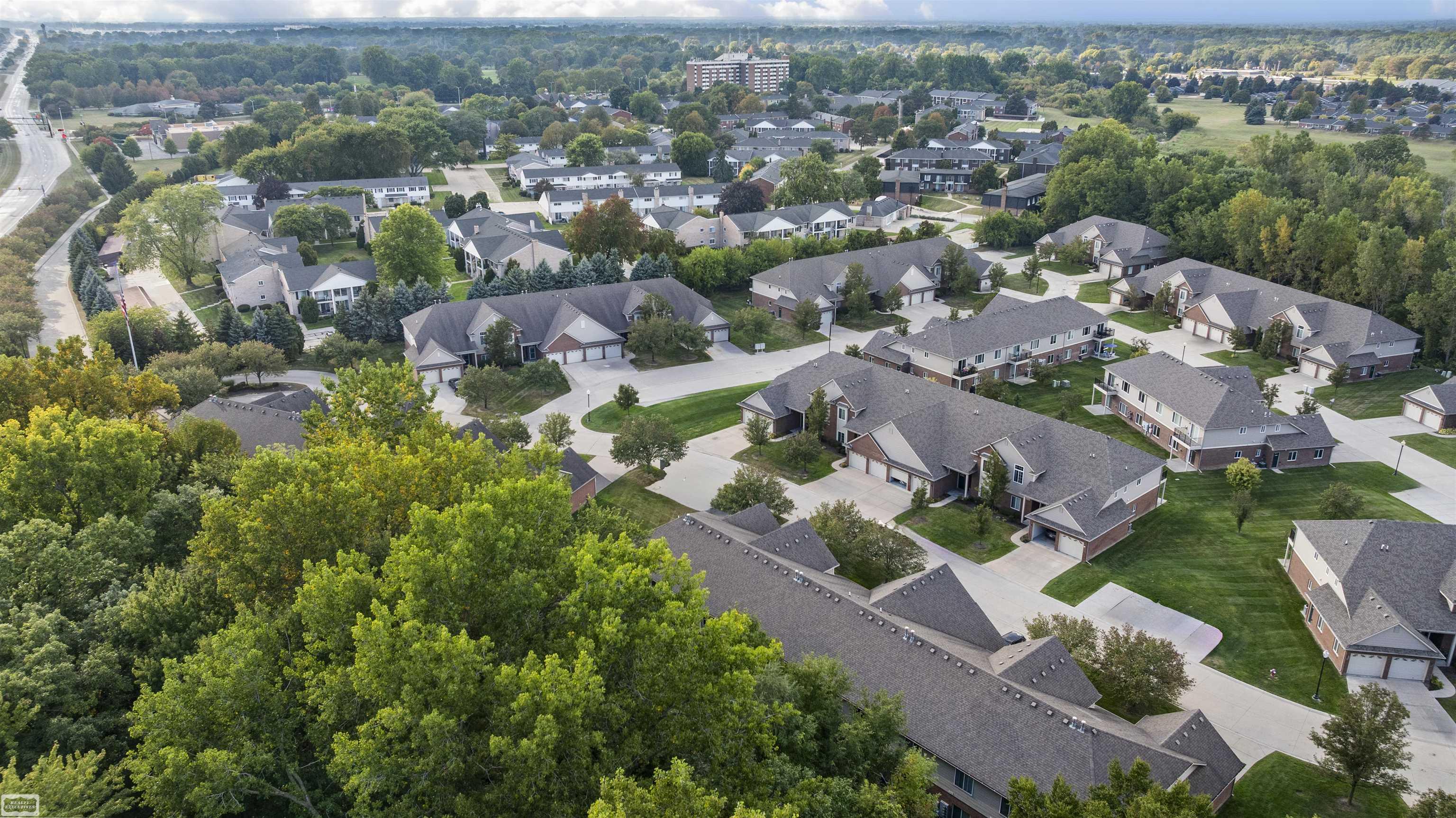 14226 Shadywood Drive