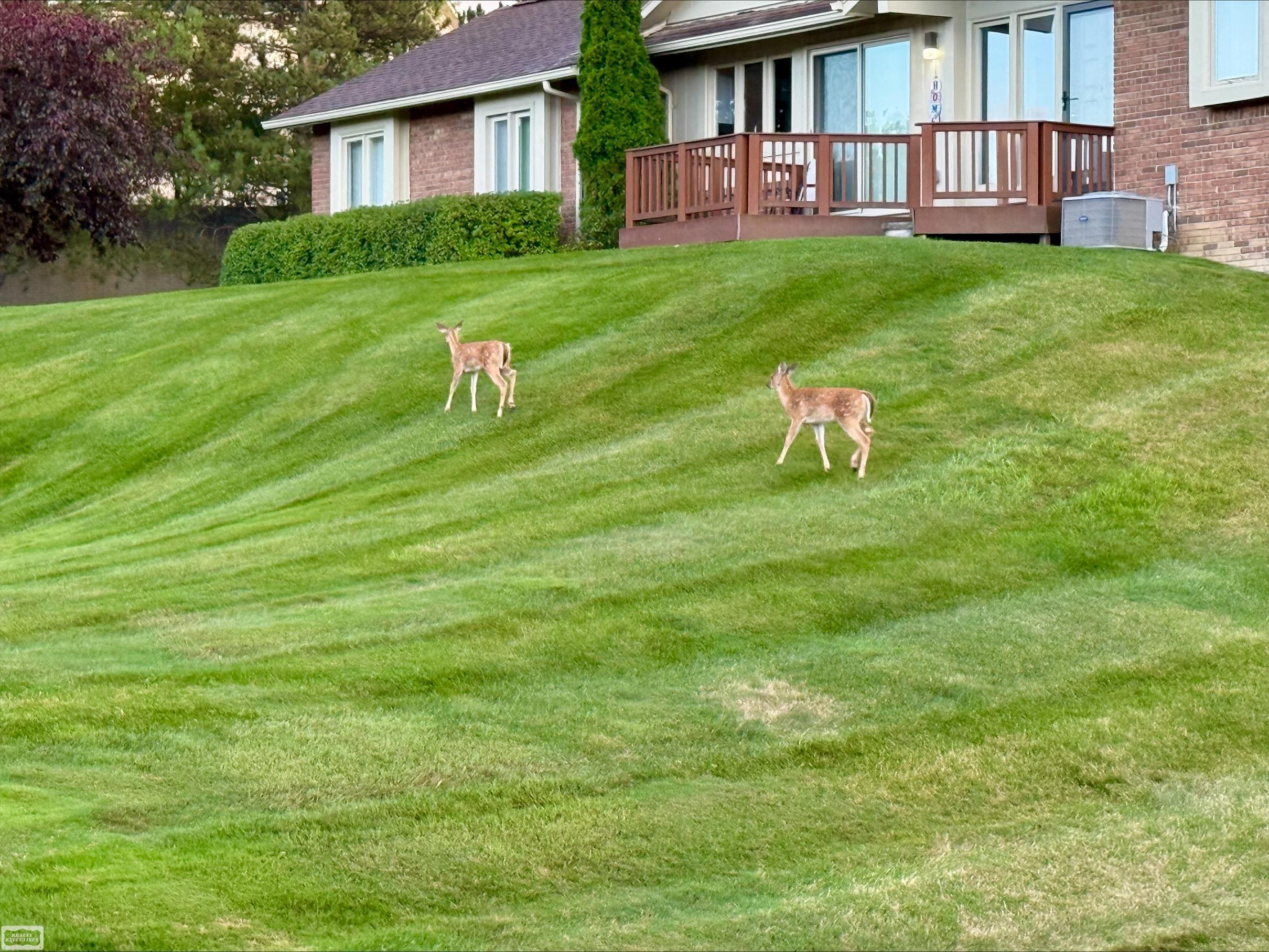 5605 Hillcrest Circle