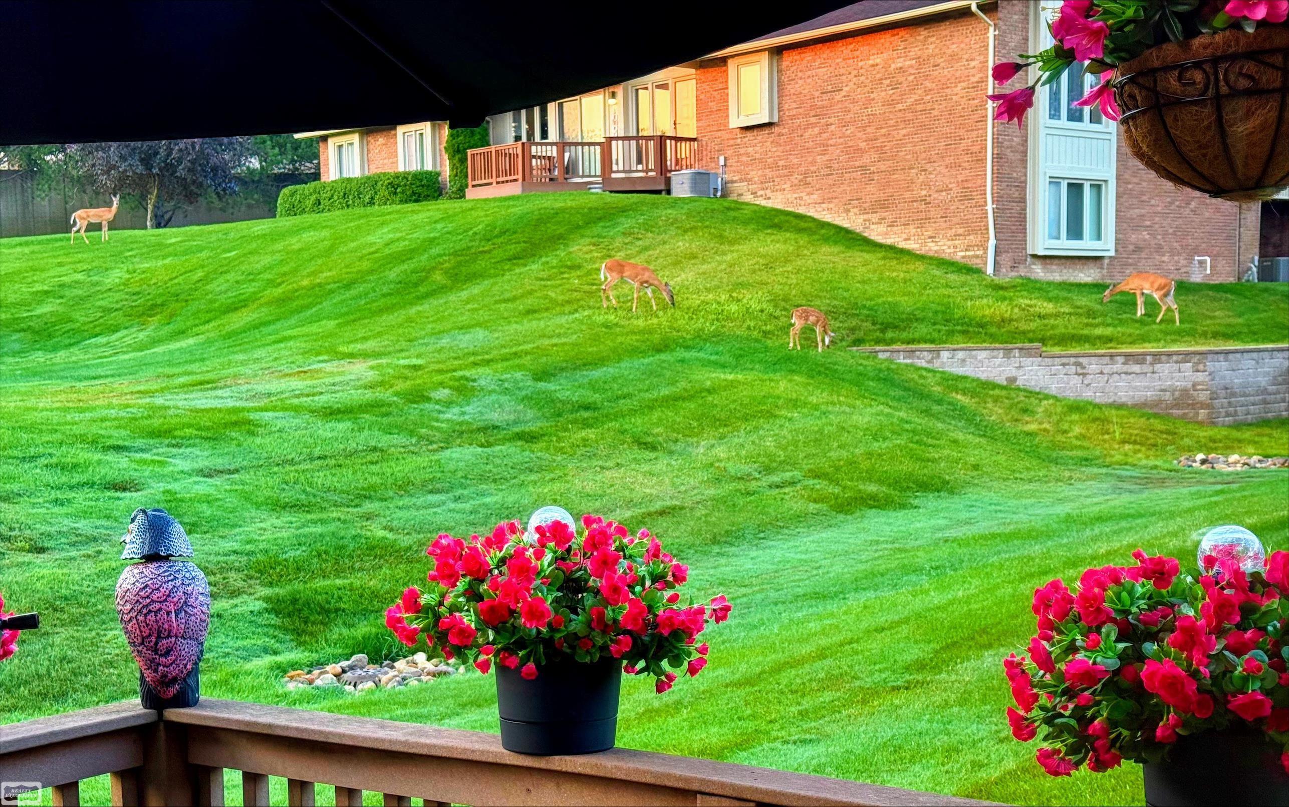 5605 Hillcrest Circle