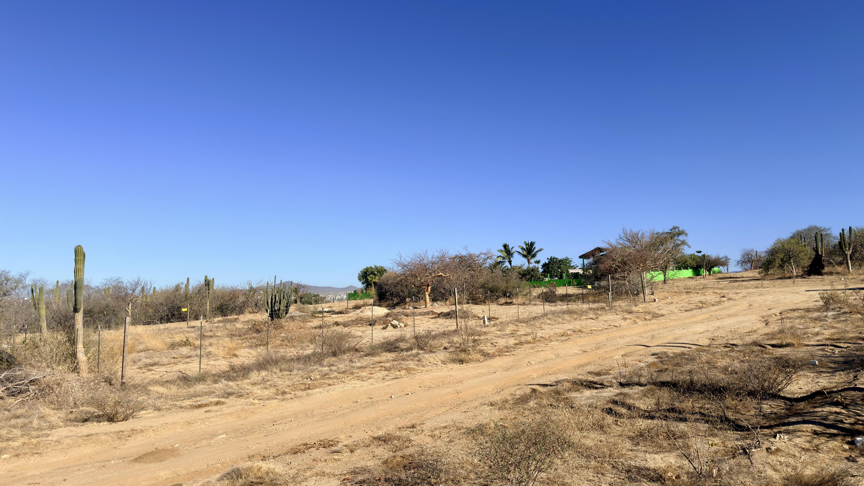 LOTE 21 MANZANA 1, Lot in El Tezal