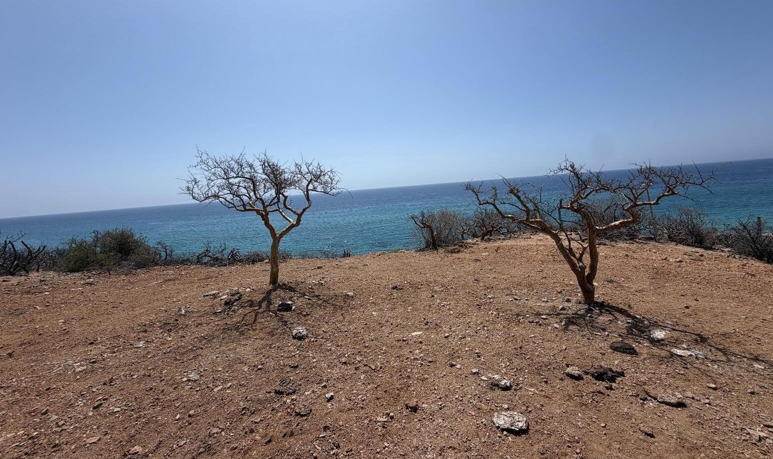 LOTE 3 OCEAN VIEW, MONTEMAR