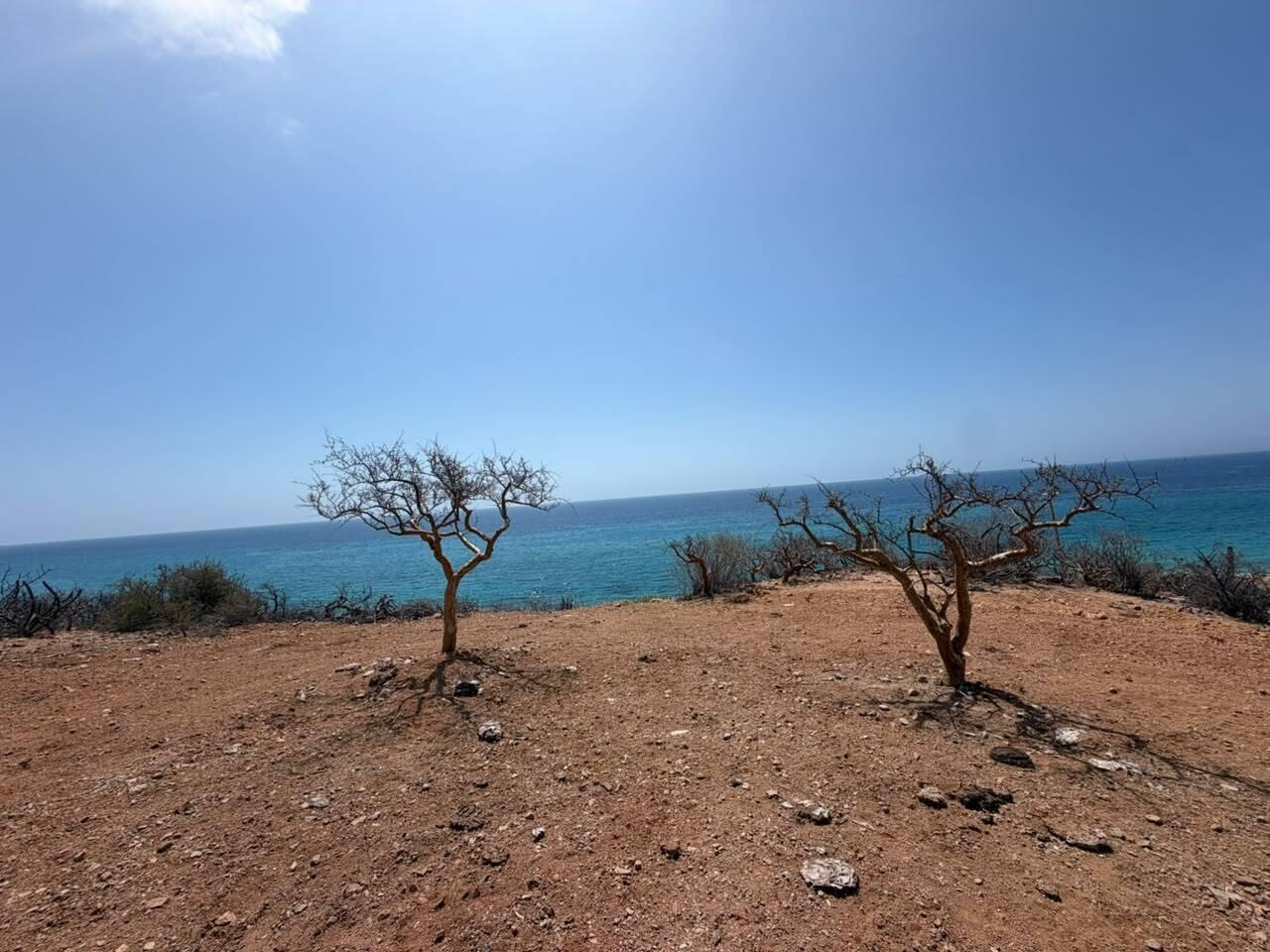 LOTE 2 OCEAN VIEW, MONTEMAR
