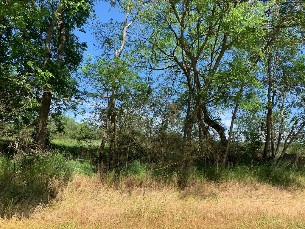 Lot 18 County Road 3319