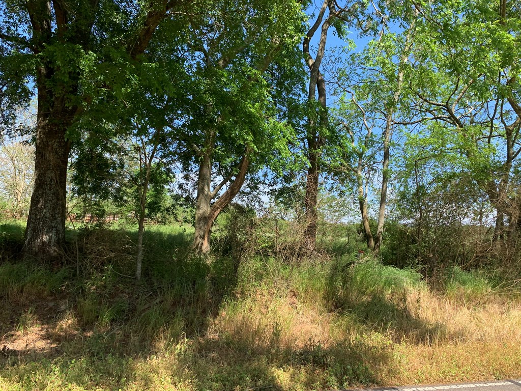 Lot 18 County Road 3319