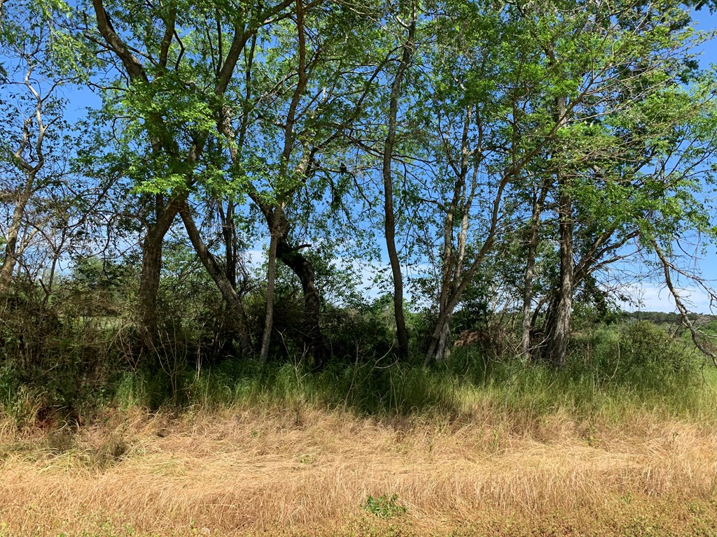 Lot 18 County Road 3319