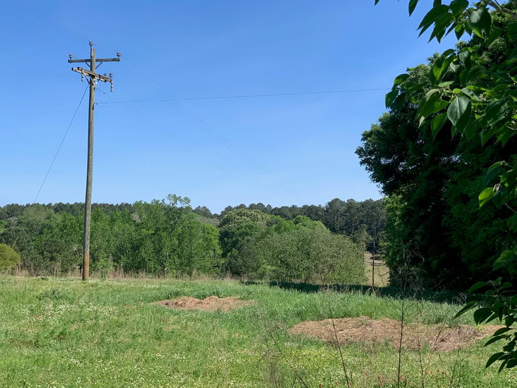 Lot 20 County Road 3319