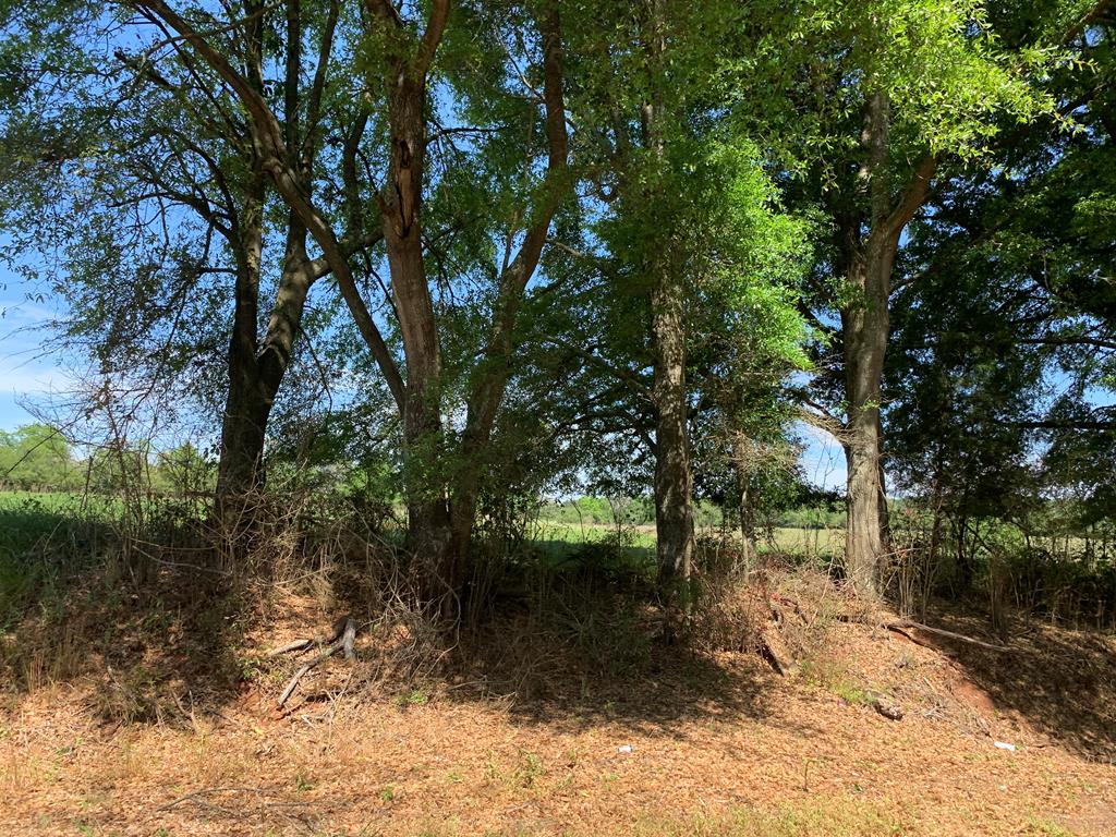 Lot 20 County Road 3319