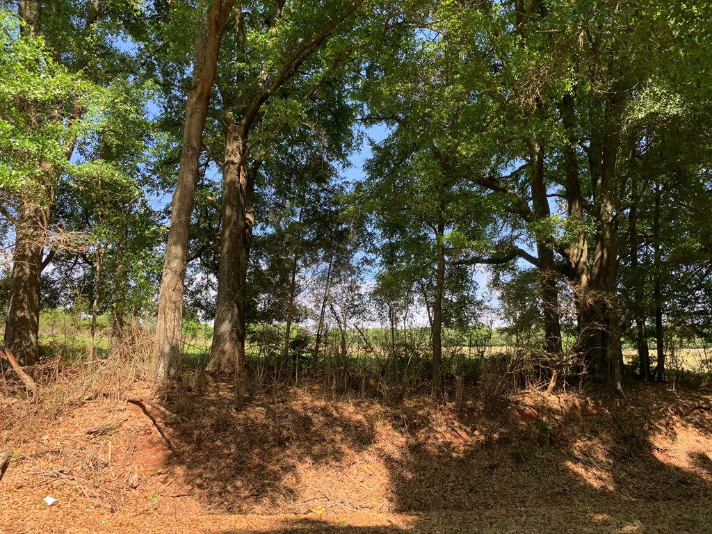 Lot 20 County Road 3319