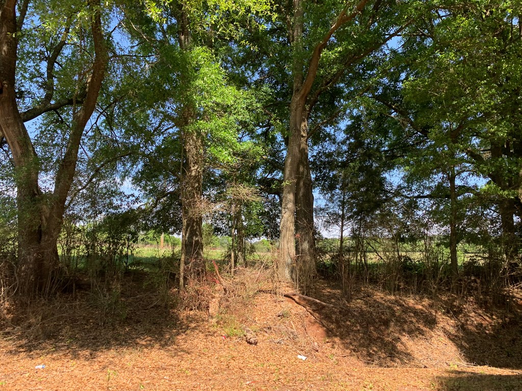 Lot 20 County Road 3319