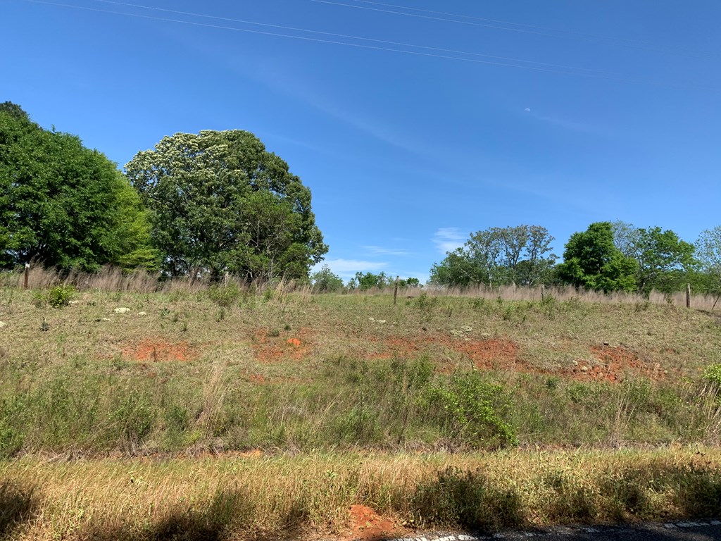 Lot 19 County Road 3319