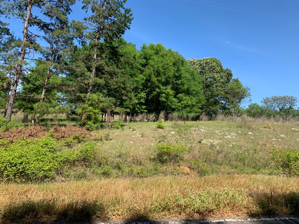 Lot 19 County Road 3319