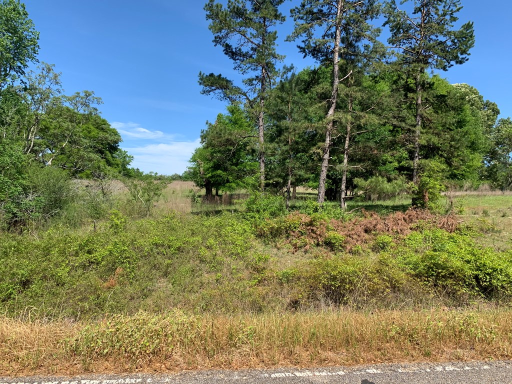 Lot 19 County Road 3319