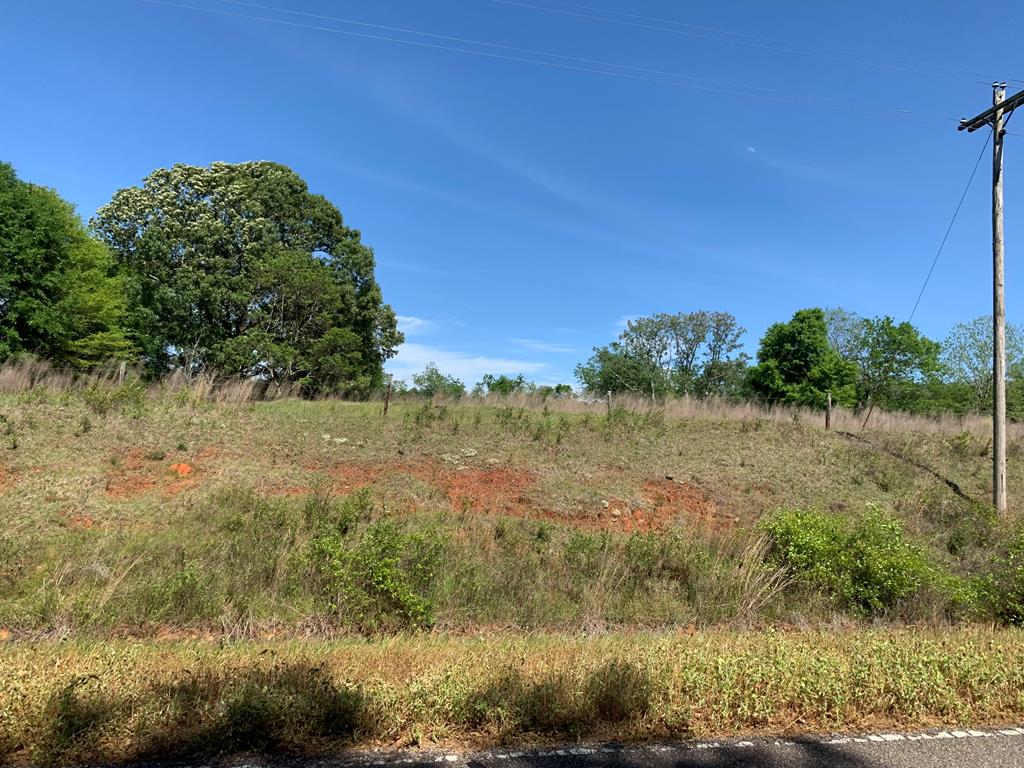 Lot 19 County Road 3319