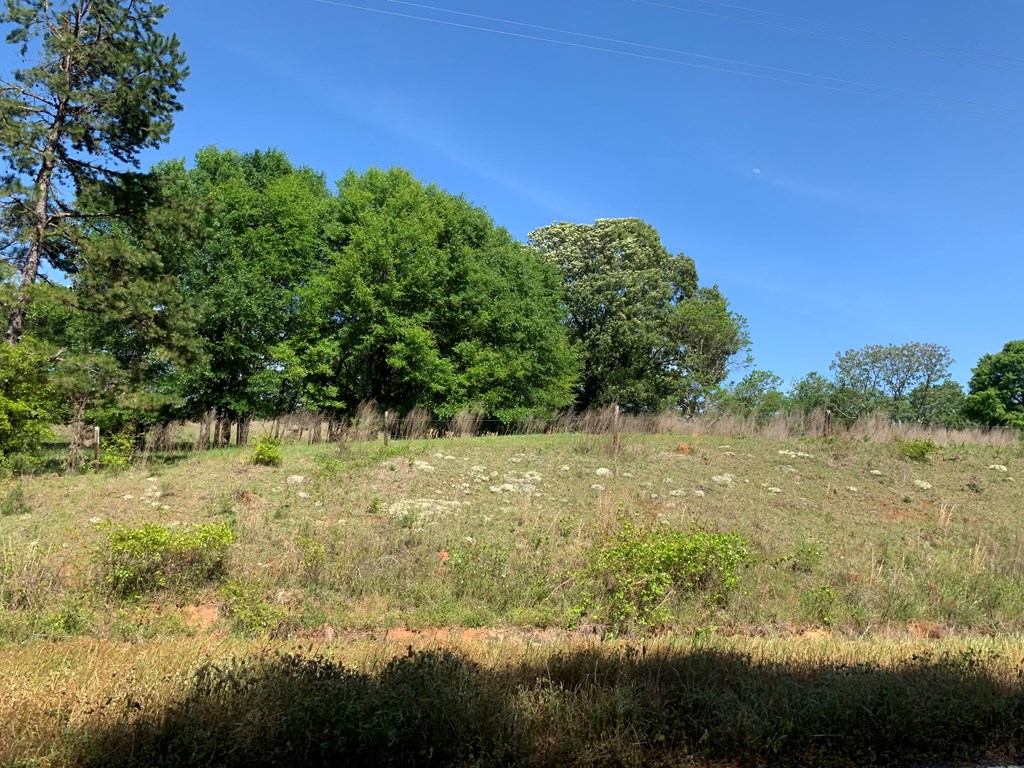 Lot 19 County Road 3319