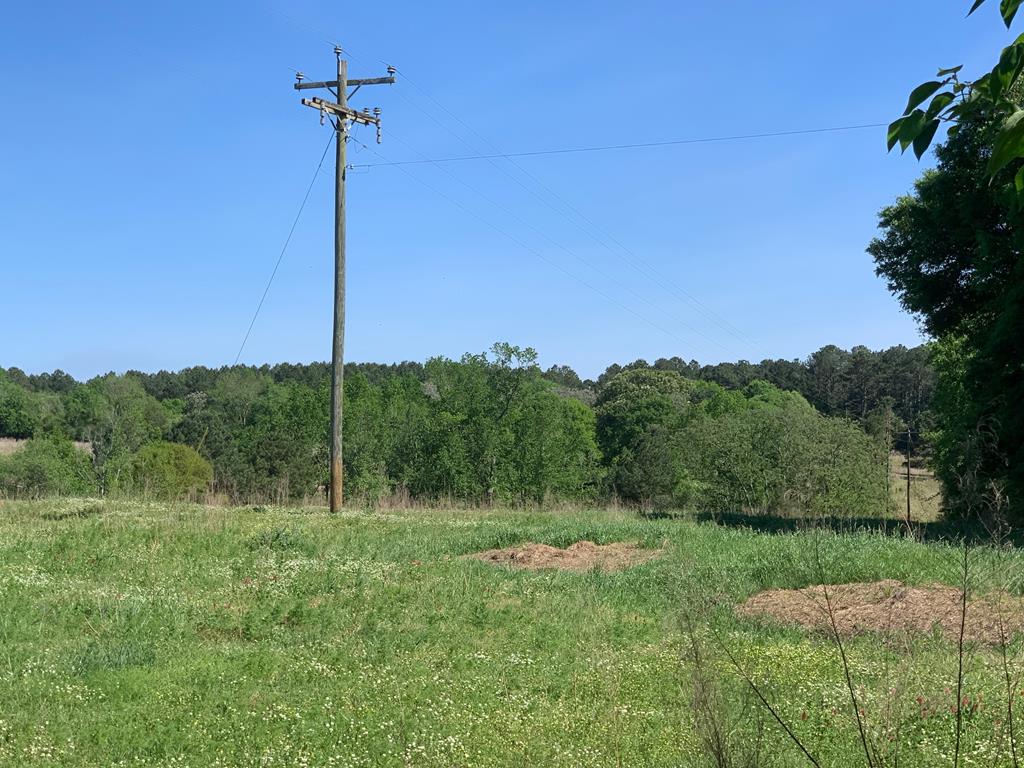 Lot 19 County Road 3319