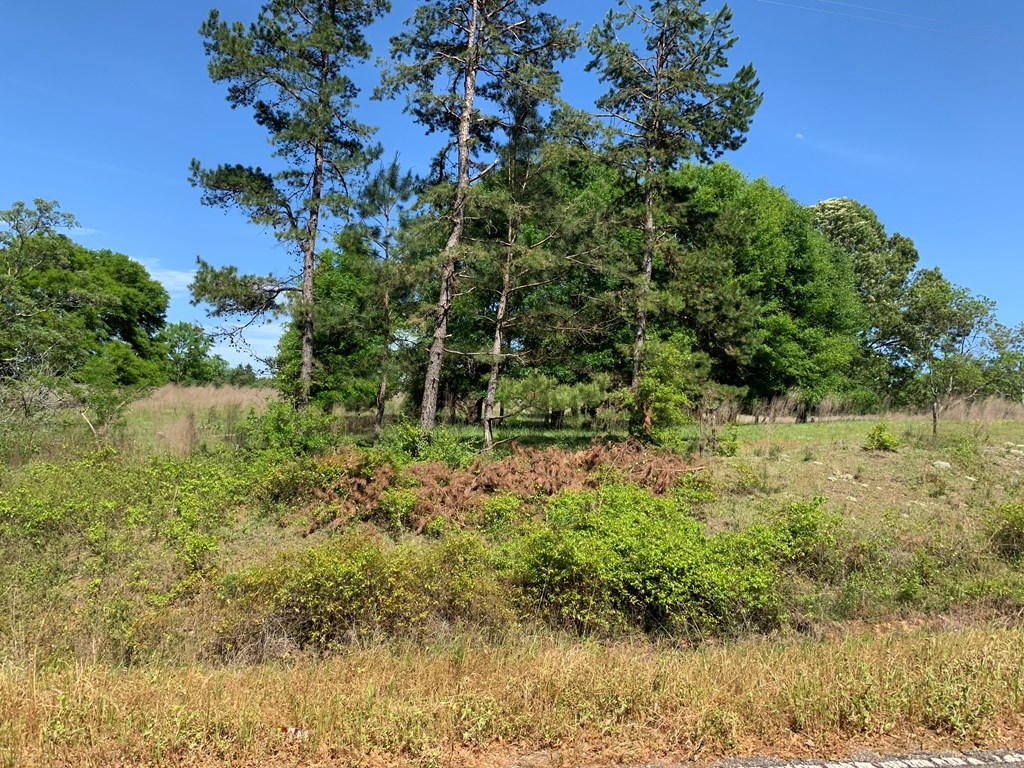 Lot 19 County Road 3319