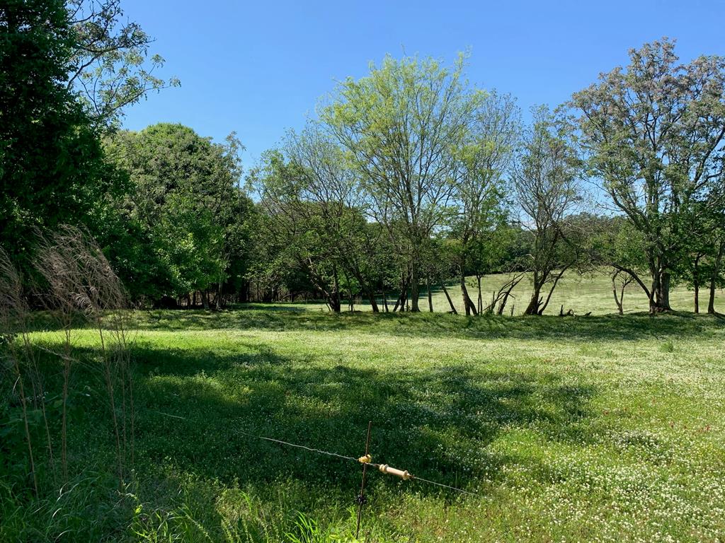 Lot 1 County Road 3319