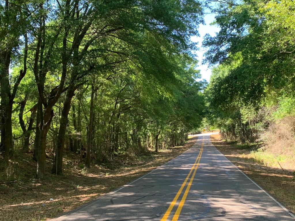 Lot 1 County Road 3319