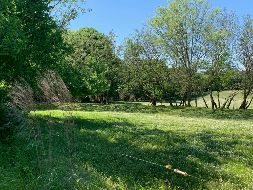 Lot 1 County Road 3319