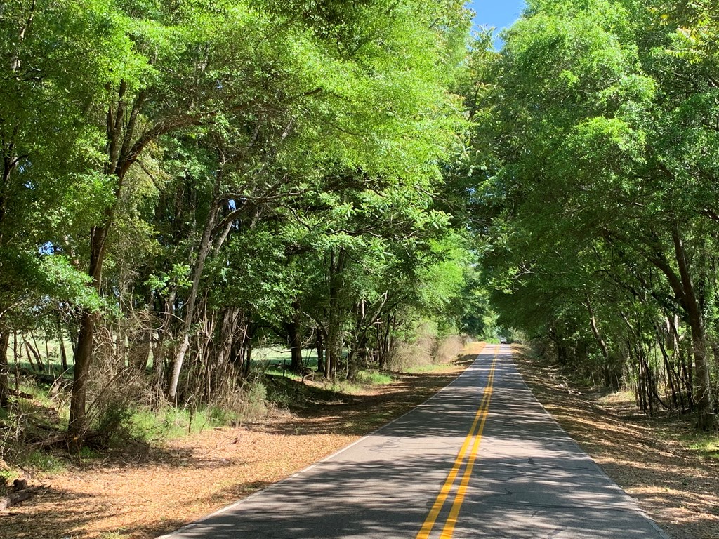 Lot 1 County Road 3319