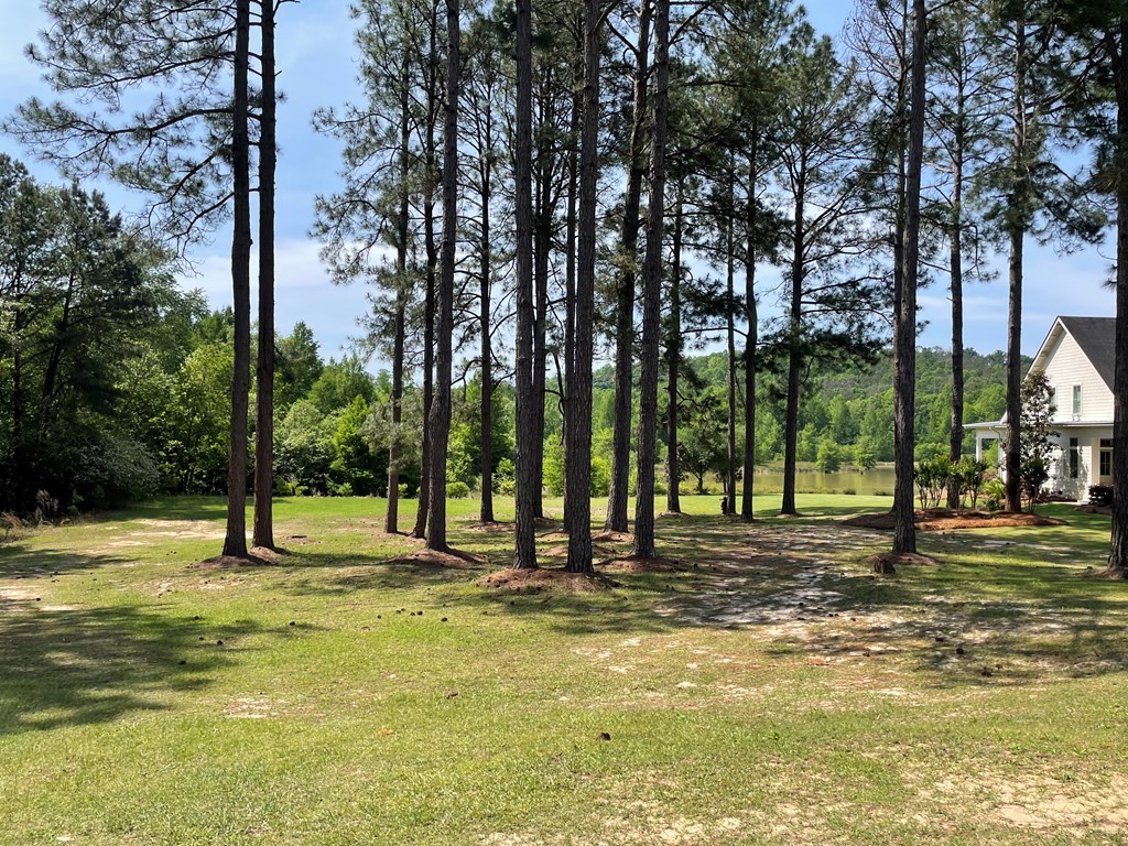 0 Palace Verdes Drive