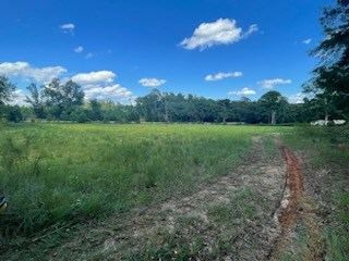 3305 Pike County Lake Road