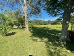 3305 Pike County Lake Road