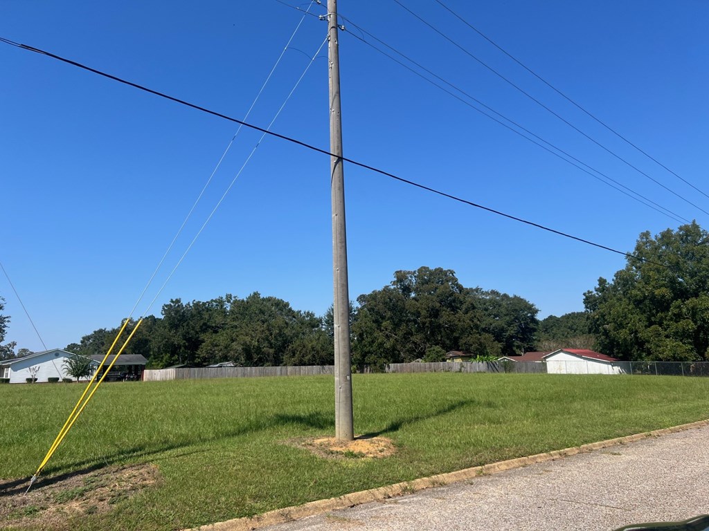 0 Bowden Street, Brundidge