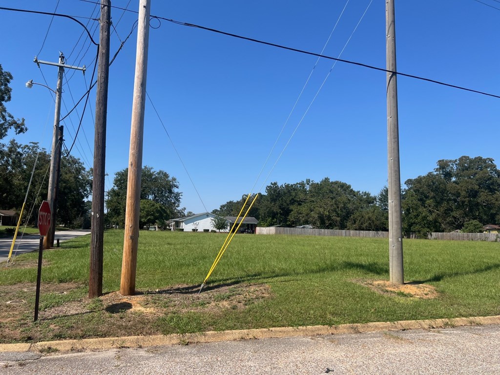 0 Bowden Street, Brundidge