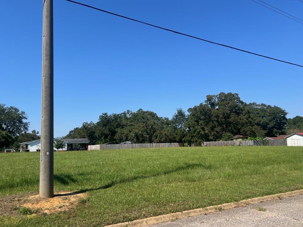 0 Bowden Street, Brundidge