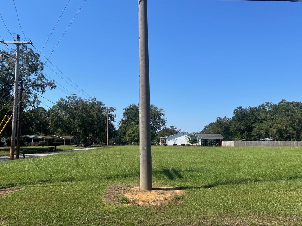 0 Bowden Street, Brundidge