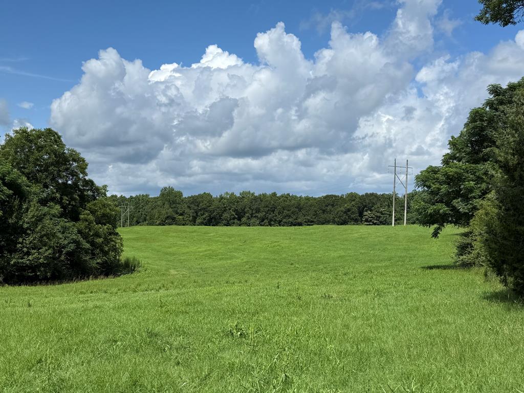 0 0 County Road 3316