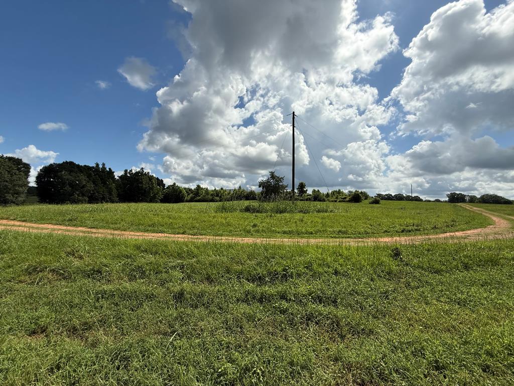 0 0 County Road 3316