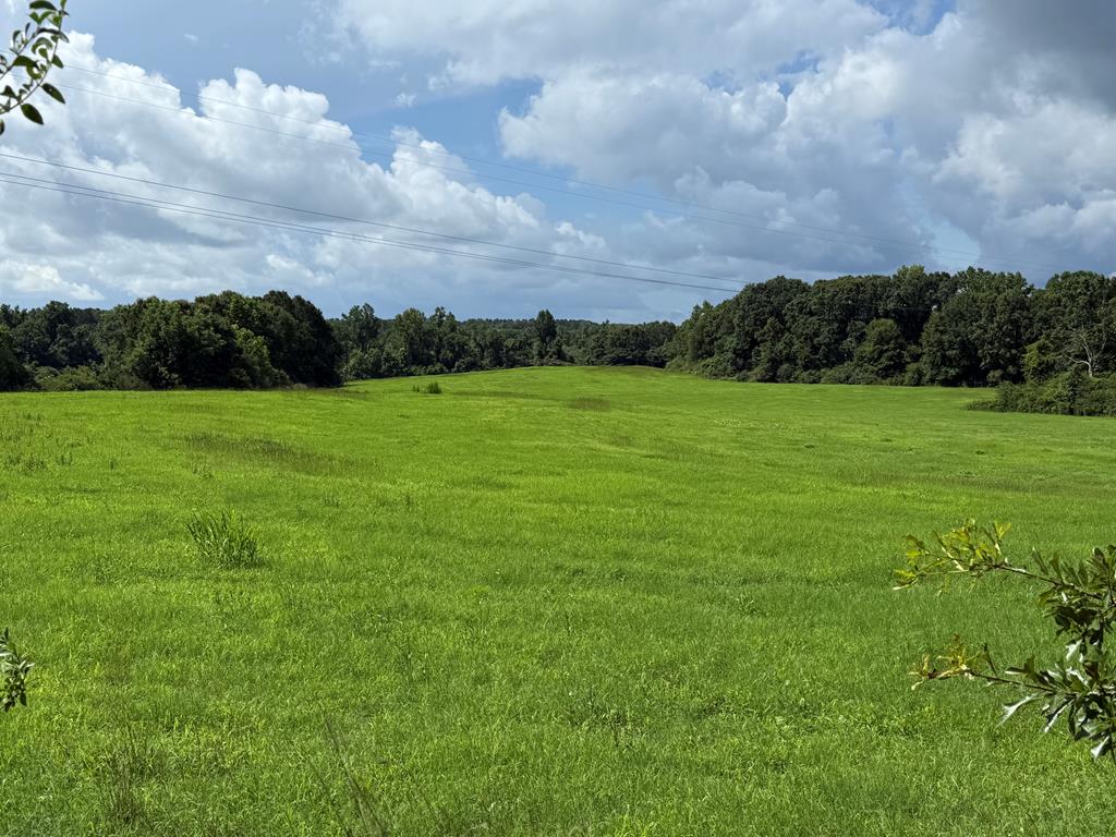 0 0 County Road 3316