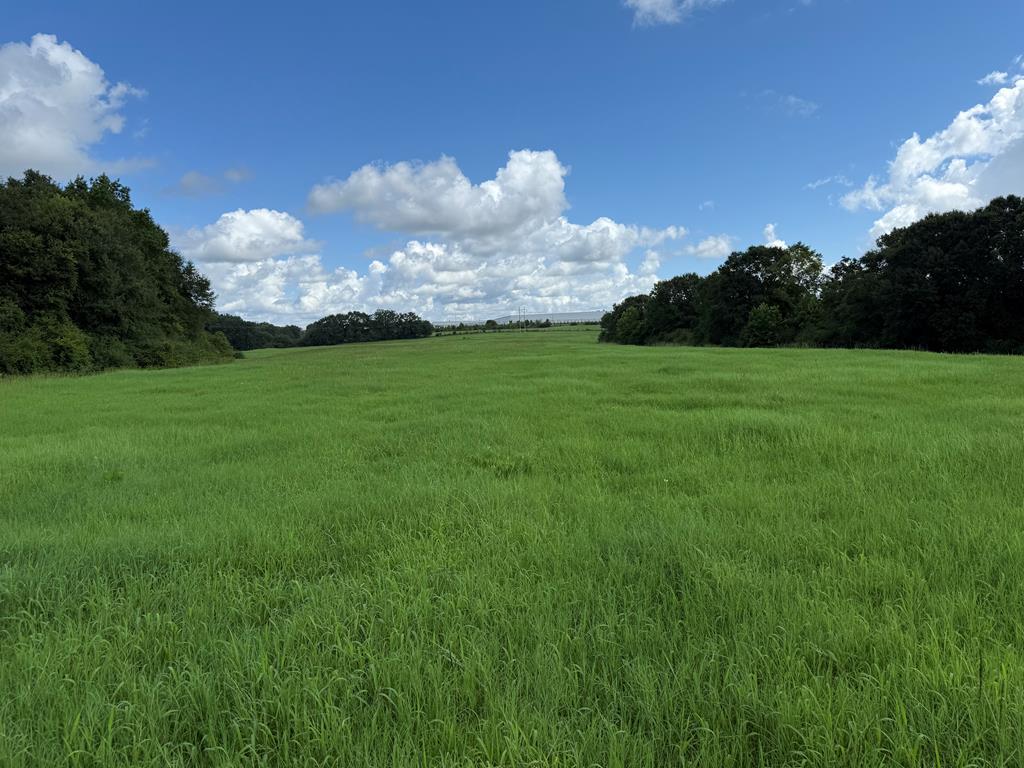 0 0 County Road 3316