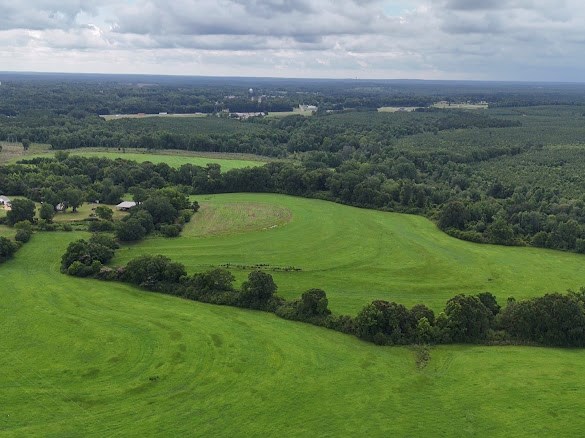 0 0 County Road 3316