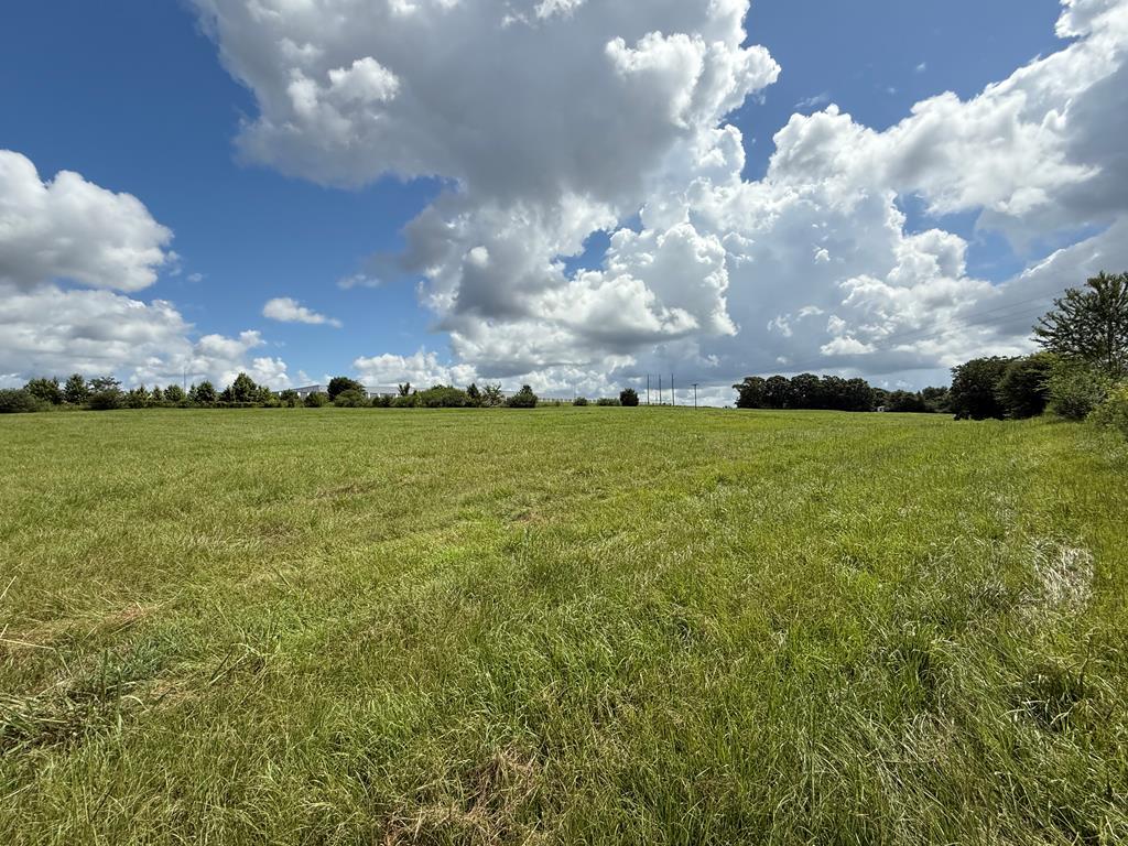 0 0 County Road 3316