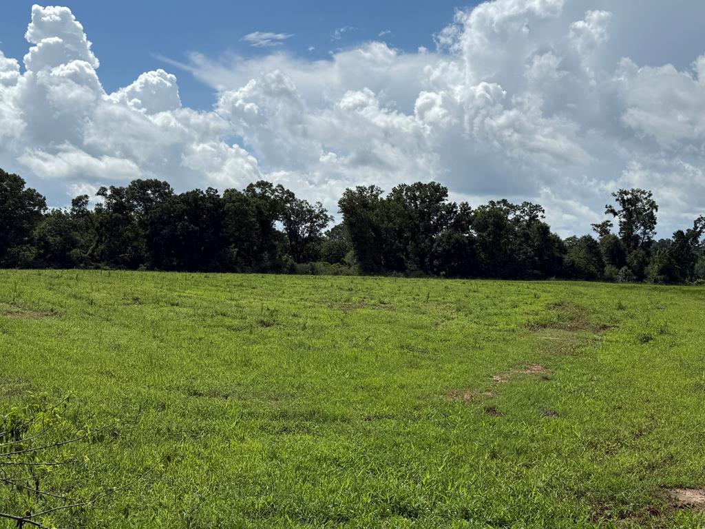 0 0 County Road 3316