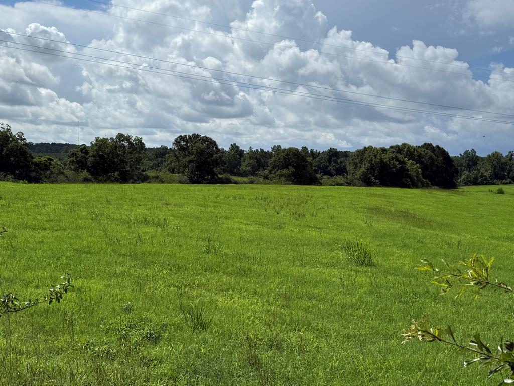 0 0 County Road 3316