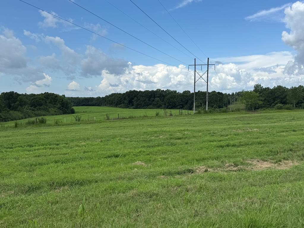 0 0 County Road 3316