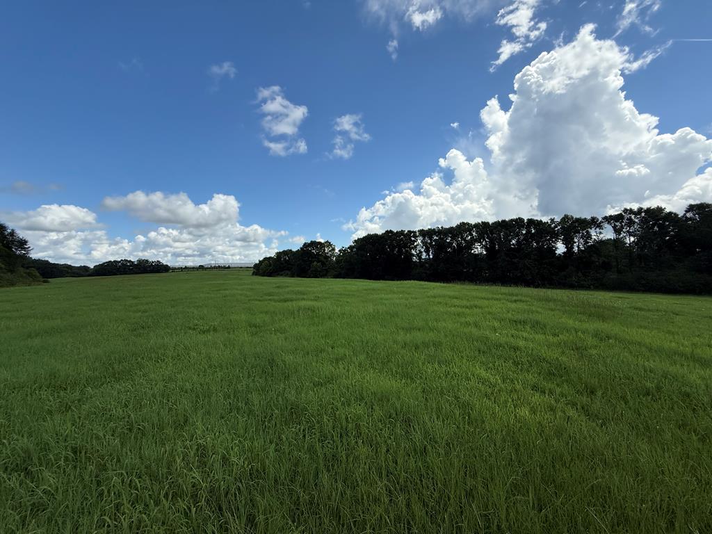 0 0 County Road 3316