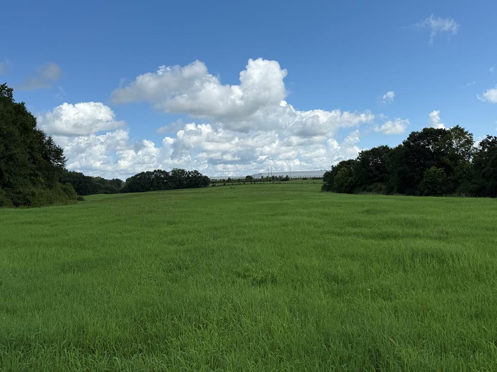 0 0 County Road 3316